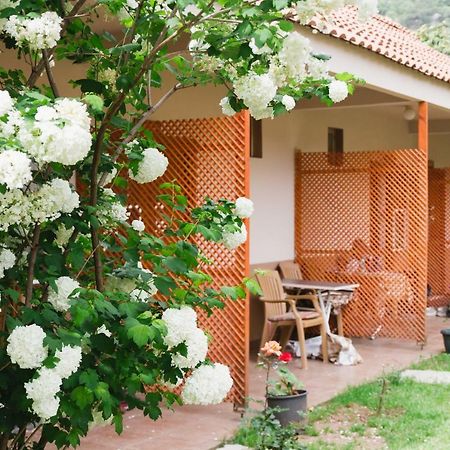 Village Garden Pansiyon Antalya Kültér fotó