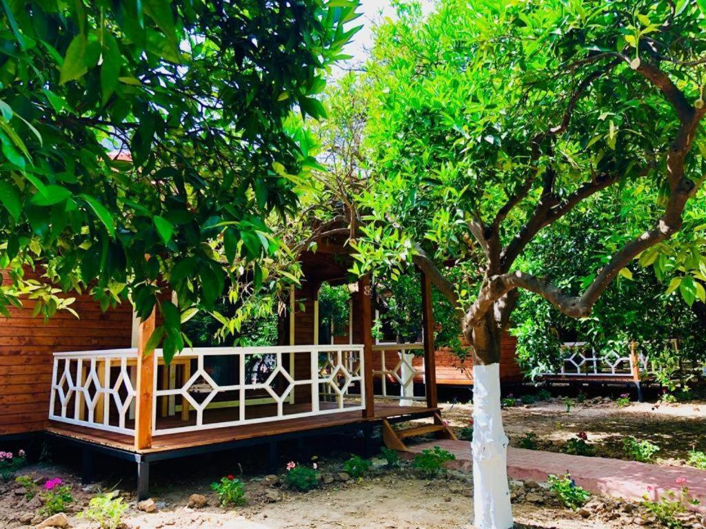 Village Garden Pansiyon Antalya Kültér fotó