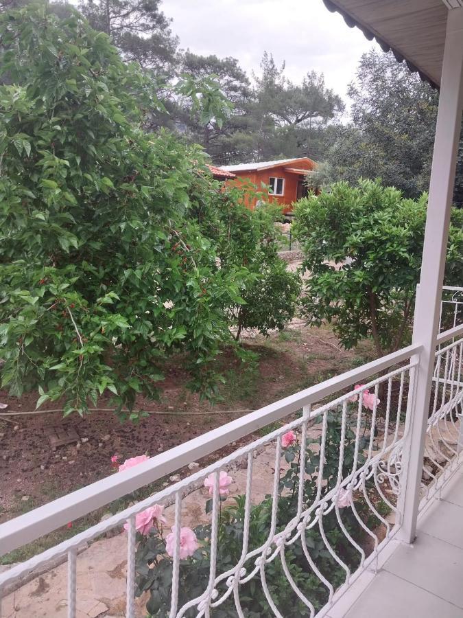 Village Garden Pansiyon Antalya Kültér fotó