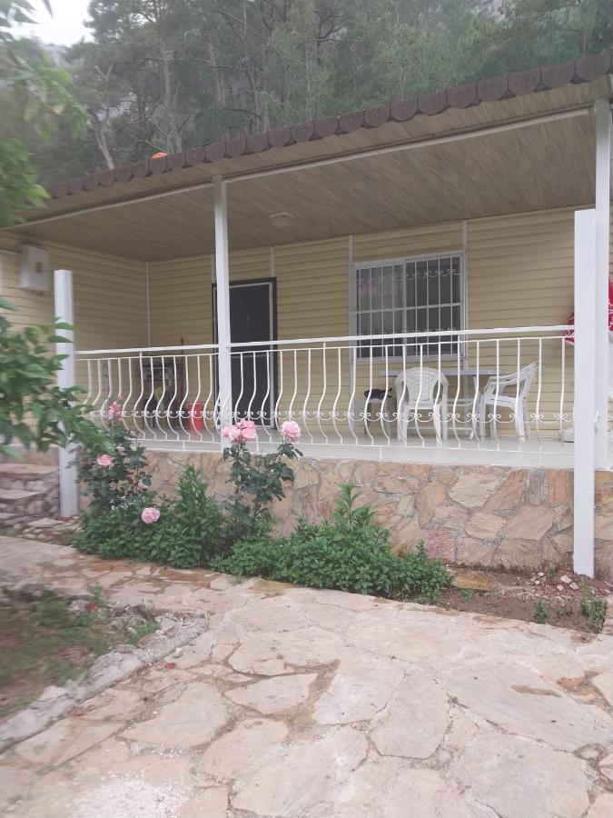 Village Garden Pansiyon Antalya Kültér fotó
