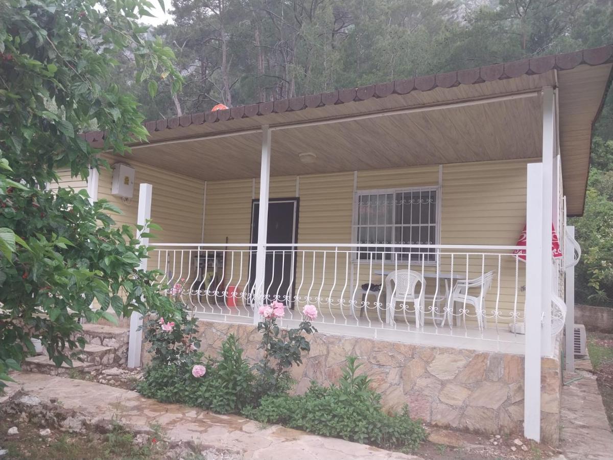 Village Garden Pansiyon Antalya Kültér fotó