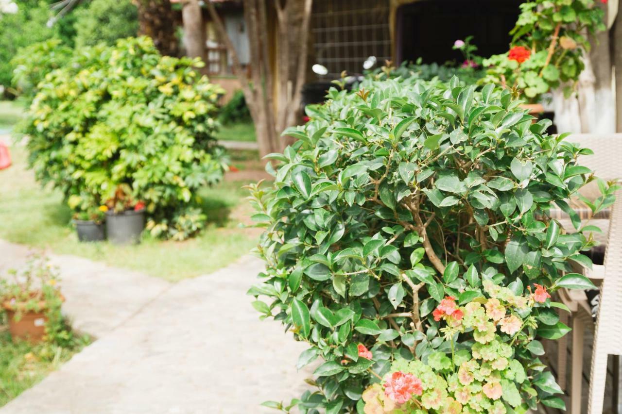 Village Garden Pansiyon Antalya Kültér fotó