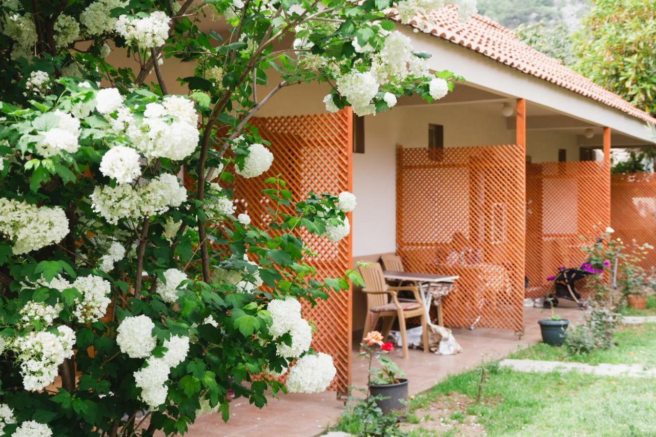 Village Garden Pansiyon Antalya Kültér fotó