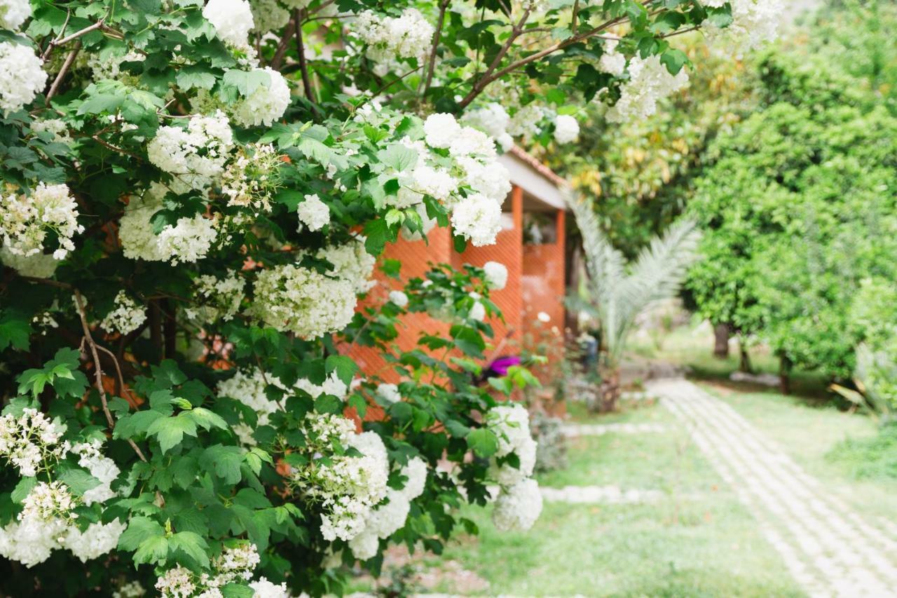 Village Garden Pansiyon Antalya Kültér fotó
